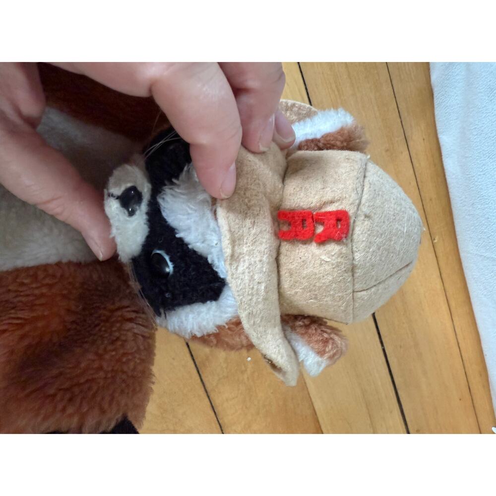 Vintage 1977 Ranger Rick Raccoon Hand Puppet. R Dakin - Picture 2 of 9
